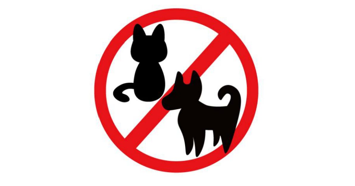 ルールを守って！